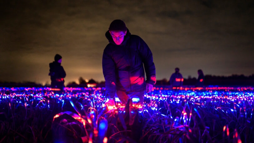 This stunning light display could make crops more sustainable | DeviceDaily.com