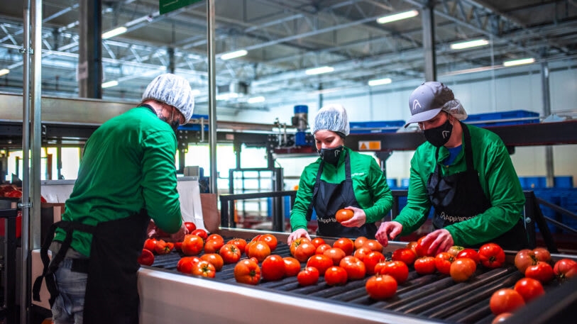 This state-of-the-art indoor farm is transforming Appalachia into an agricultural powerhouse | DeviceDaily.com