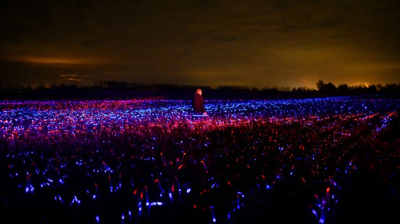 This stunning light display could make crops more sustainable | DeviceDaily.com
