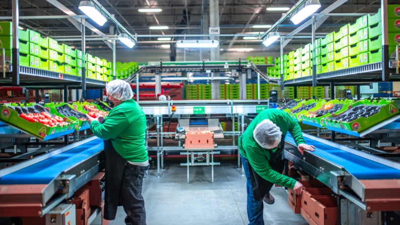 This state-of-the-art indoor farm is transforming Appalachia into an agricultural powerhouse | DeviceDaily.com