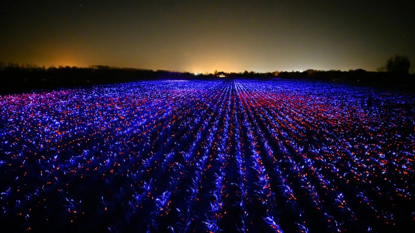 This stunning light display could make crops more sustainable | DeviceDaily.com