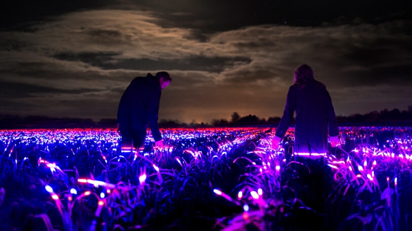 This stunning light display could make crops more sustainable | DeviceDaily.com