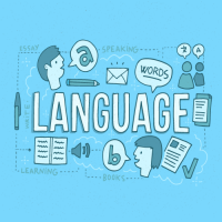 Features of an Online Translation Platform