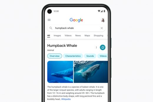 Google mobile search redesign focuses on results, not frills