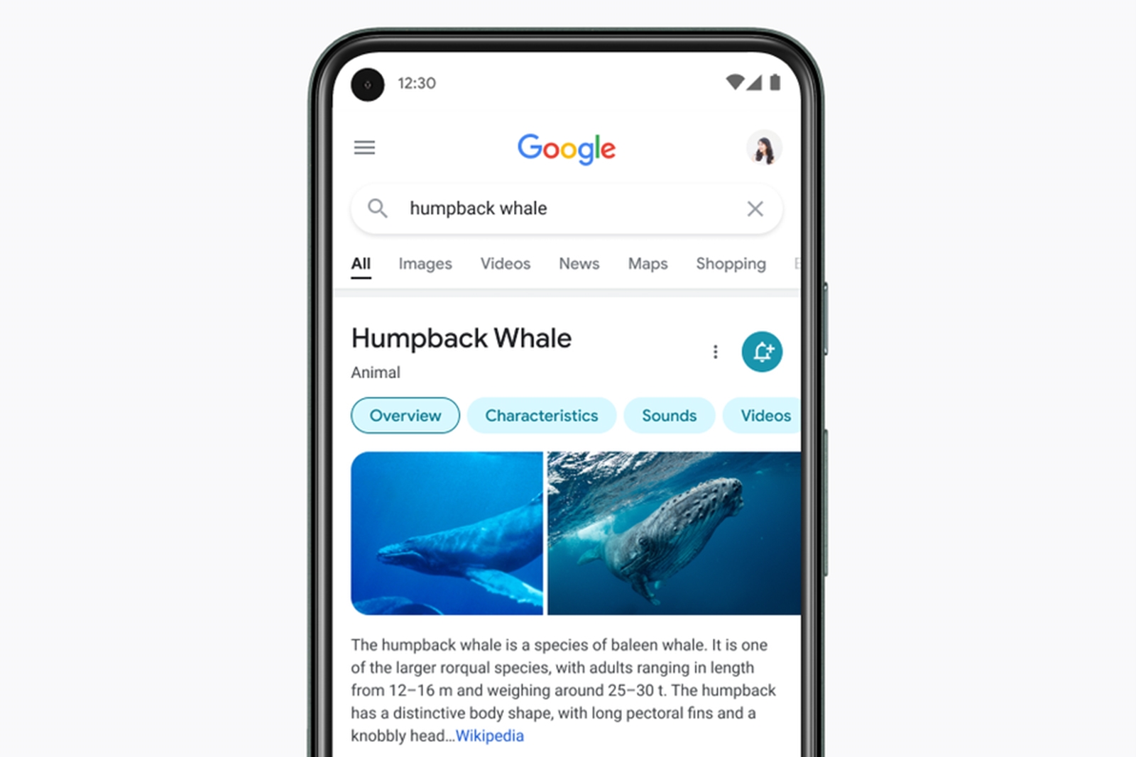 Google mobile search redesign focuses on results, not frills | DeviceDaily.com