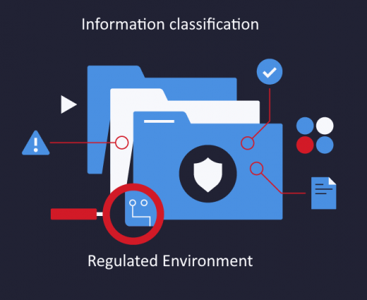 Information classification role in regulated environment (case study)