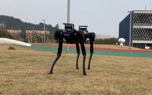 This robot dog learned how to get up after being knocked down