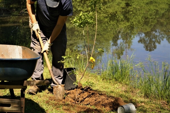 This new tree corps will hire people to plant trees in low-income neighborhoods | DeviceDaily.com