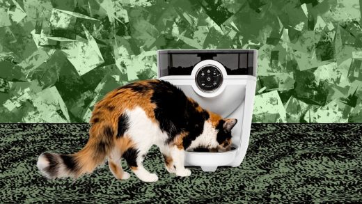 This automated pet feeder saved my relationship with my cat—and my sleep schedule