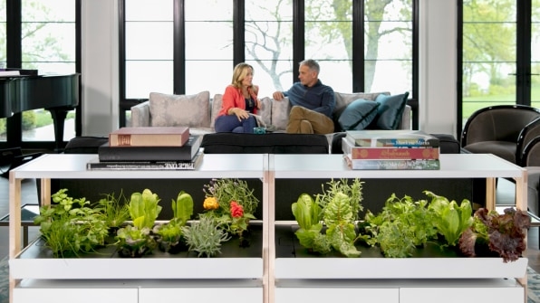 This indoor gardening system brought homegrown veggies (and zen) to my New York apartment | DeviceDaily.com