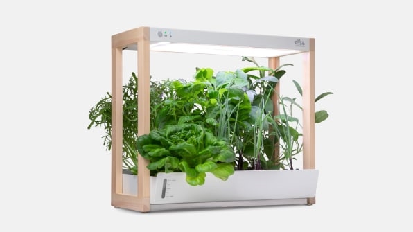 This indoor gardening system brought homegrown veggies (and zen) to my New York apartment | DeviceDaily.com