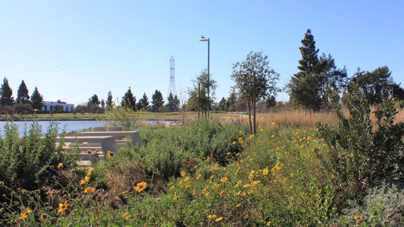 L.A. loses 100 billion gallons of water a year. This park is helping recapture it | DeviceDaily.com