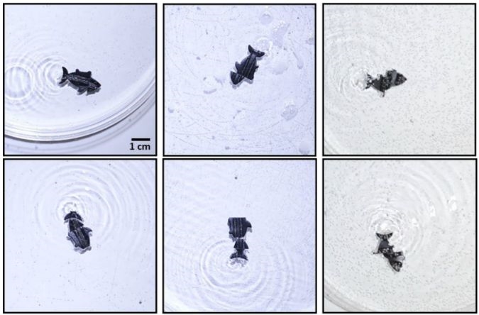 Researchers create a swimming robot that can 'heal' itself | DeviceDaily.com