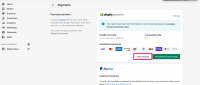 The Complete Guide to Shopify Payments