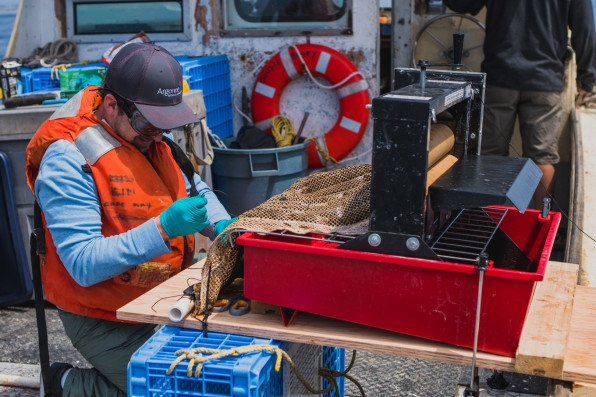 A decade after Deepwater Horizon, we’re still cleaning up oil spills the same way | DeviceDaily.com