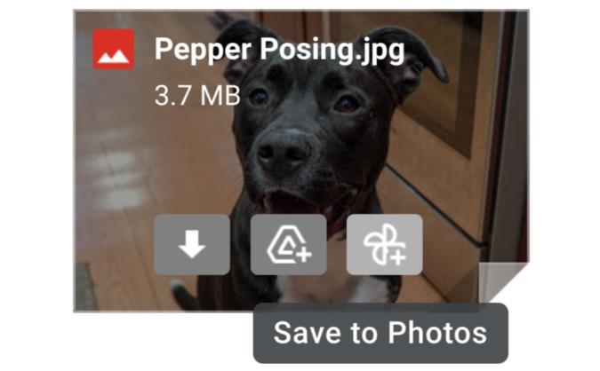 Gmail will let you save image attachments directly to Google Photos | DeviceDaily.com