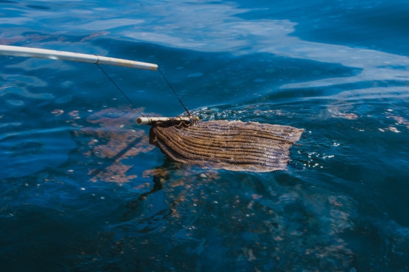 A decade after Deepwater Horizon, we’re still cleaning up oil spills the same way | DeviceDaily.com