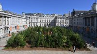 An artist planted 400 trees in London to showcase where design is headed next