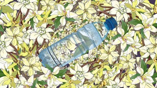 Scientists just turned plastic bottles into . . . vanilla flavoring?