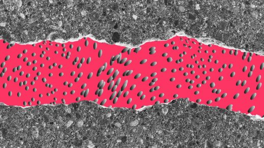 This self-healing concrete automatically fills in cracks