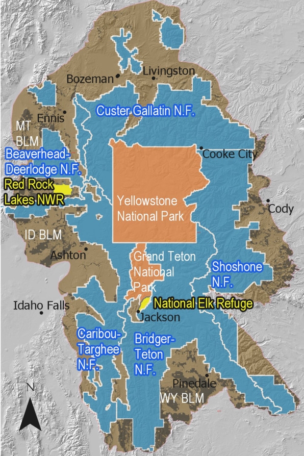 How the warming climate is threatening the ecosystem of Yellowstone | DeviceDaily.com How the warming climate is threatening the ecosystem of Yellowstone | DeviceDaily.com