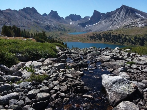 How the warming climate is threatening the ecosystem of Yellowstone | DeviceDaily.com