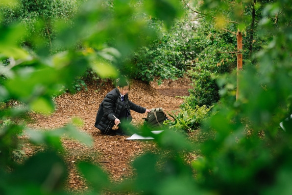 How to build an urban forest from scratch | DeviceDaily.com