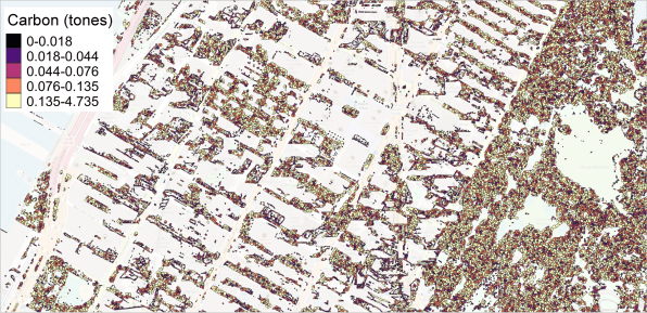 IBM’s new AI tool figures out exactly how much carbon each tree can capture | DeviceDaily.com