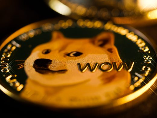 Are Online Businesses Ready to Start Accepting Dogecoin?