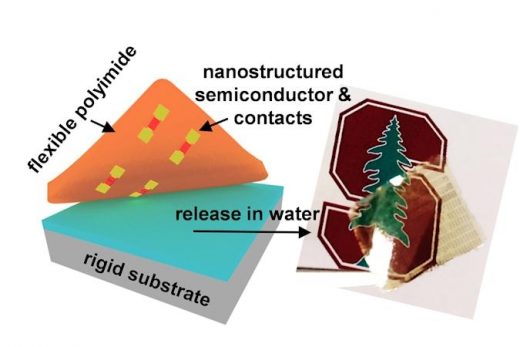 ‘Atomically thin’ transistors could help make electronic skins a reality