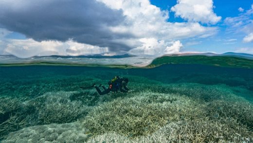 It might be our last chance to save even a few coral reefs from climate change