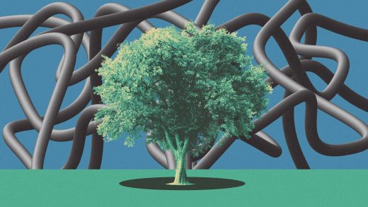 These ‘supertrees’ are engineered to capture more carbon
