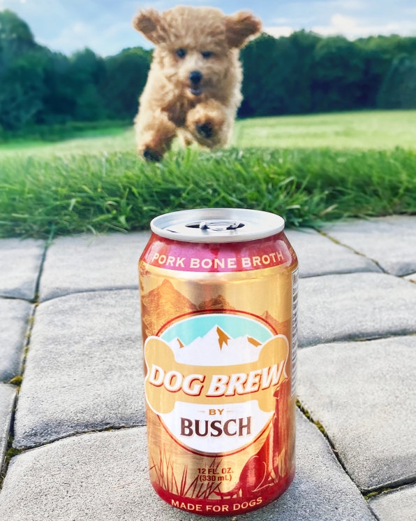 Anheuser-Busch thinks your dog would like a beer, too | DeviceDaily.com