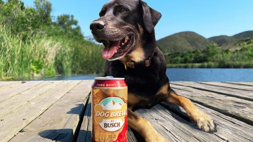 Anheuser-Busch thinks your dog would like a beer, too
