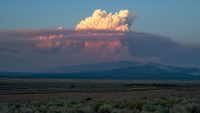 The Bootleg fire is burning through trees that are being used as carbon offsets