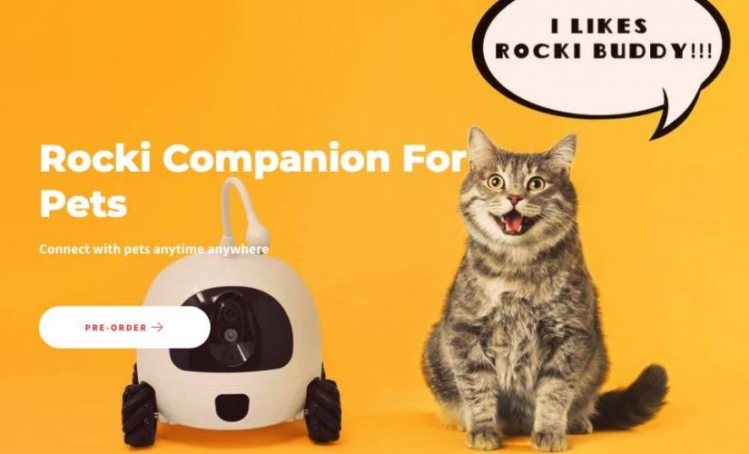 Won’t Be Sad Leaving Your Beloved Pet at Home Rockirobot | DeviceDaily.com