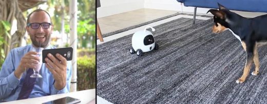 Won’t Be Sad Leaving Your Beloved Pet at Home Rockirobot