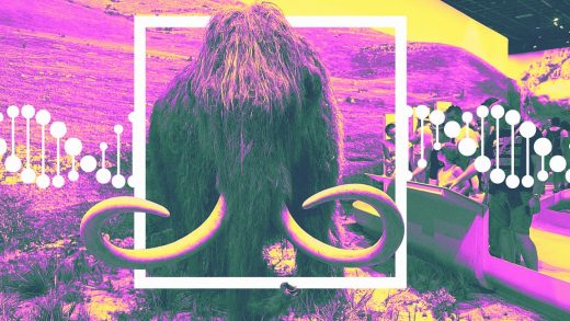 This startup really is trying to create living woolly mammoths from DNA