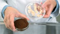 In Finland, scientists are growing coffee in a lab