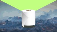 Toilet paper really is terrible for the planet. Here’s what you can do about it