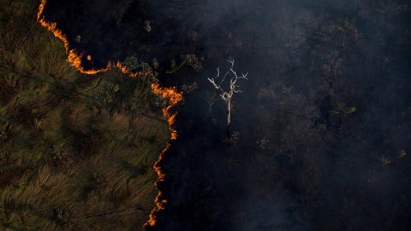 This historic $1.7 billion pledge will help indigenous communities protect tropical forests | DeviceDaily.com