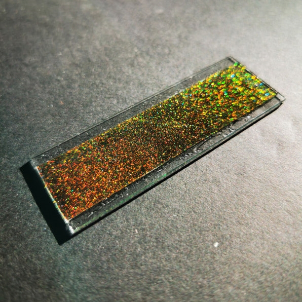 This new biodegradable glitter is made entirely from plants | DeviceDaily.com