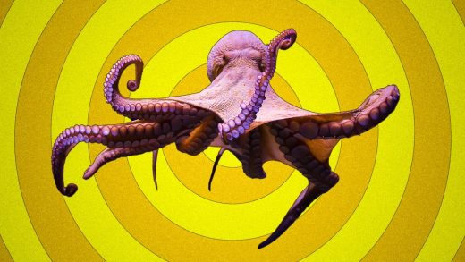 Octopuses, lobsters, and crabs are sentient beings, says new U.K. study