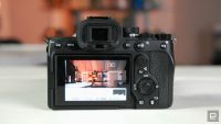 Sony A7 IV review: A powerhouse of a hybrid camera