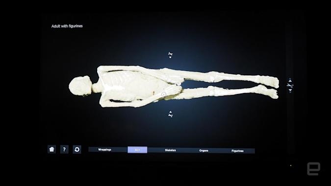 Researchers used CT scans to virtually unwrap a pristine mummy | DeviceDaily.com