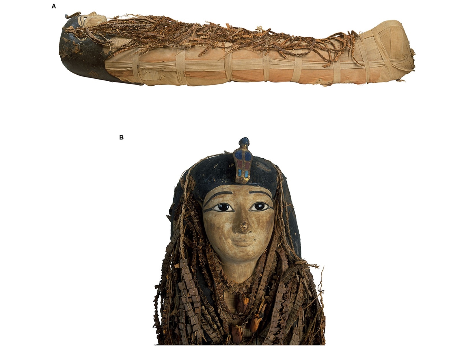 Researchers used CT scans to virtually unwrap a pristine mummy | DeviceDaily.com