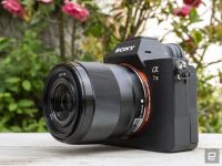 Canon EOS R3 review: Innovative eye-control focus and speed, for a price