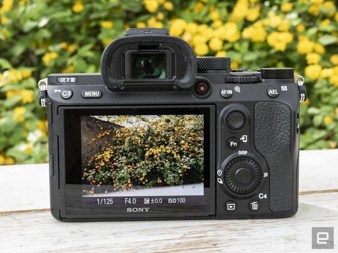 Canon EOS R3 review: Innovative eye-control focus and speed, for a price | DeviceDaily.com
