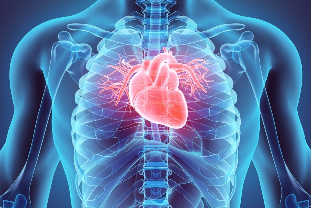 Bristol Myers to Buy MyoKardia, FDA-Ready Heart Disease Drug for $13.1B | DeviceDaily.com