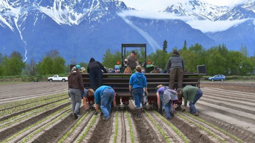 Climate change means Alaska will be able to grow more food—now is the time to start planning